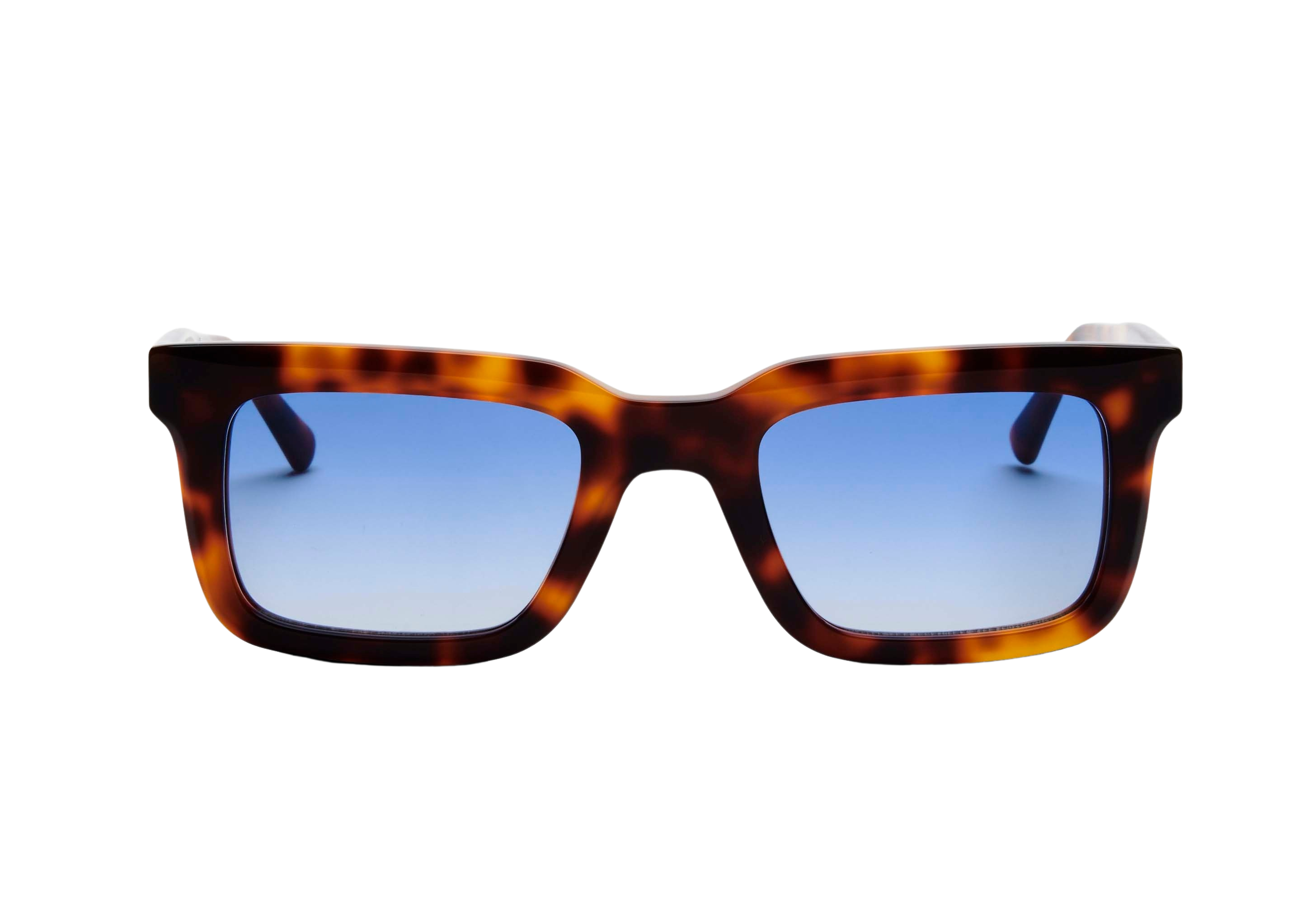Gary solbrille - Tortoise Blue
